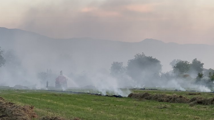 Düzce’de çıkan anız yangını korkuttu