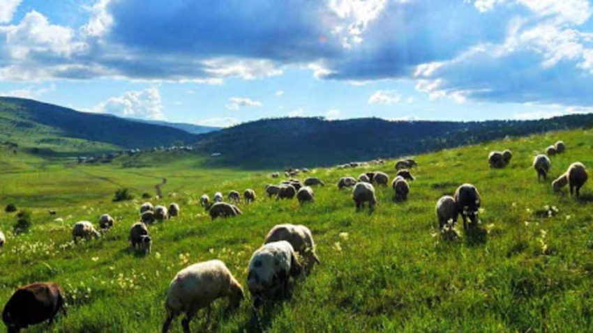 Mera alanlarının tahsis emelinin değiştirilmesi düzenlemesi