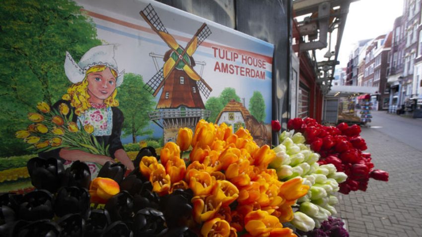 Hollanda Merkez Bankası’ndan büyüme kestirimine tarife revizyonu