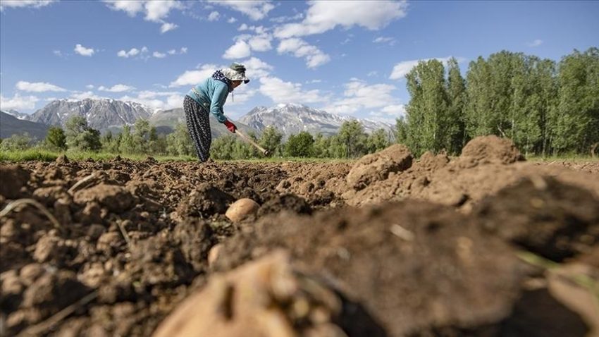 Çiftçilere 3,3 milyar lira dayanak ödemesi bugün yapılacak – Düzgün Haber