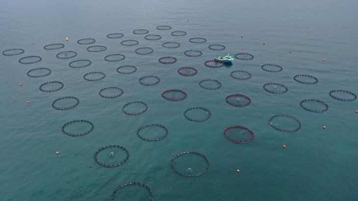 Doğu Karadeniz’in 4 aylık su eserleri ihracatı 47,8 milyon doları aştı – Düzgün Haber
