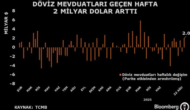 doviz-mevduatlarinda-2-ayin-en-yuksek-artisi-wz8fKWrI.jpg