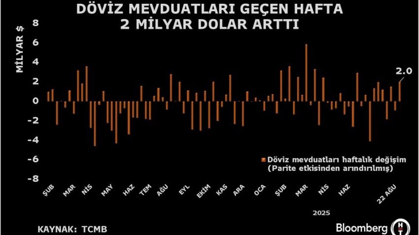 Döviz mevduatlarında 2 ayın en yüksek artışı