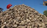 seker-pancari-uretimine-ait-kanun-teklifi-kurulda-kabul-edildi-UusFVfMH.jpg