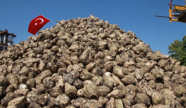 seker-pancari-uretimine-ait-kanun-teklifi-kurulda-kabul-edildi-UusFVfMH.jpg