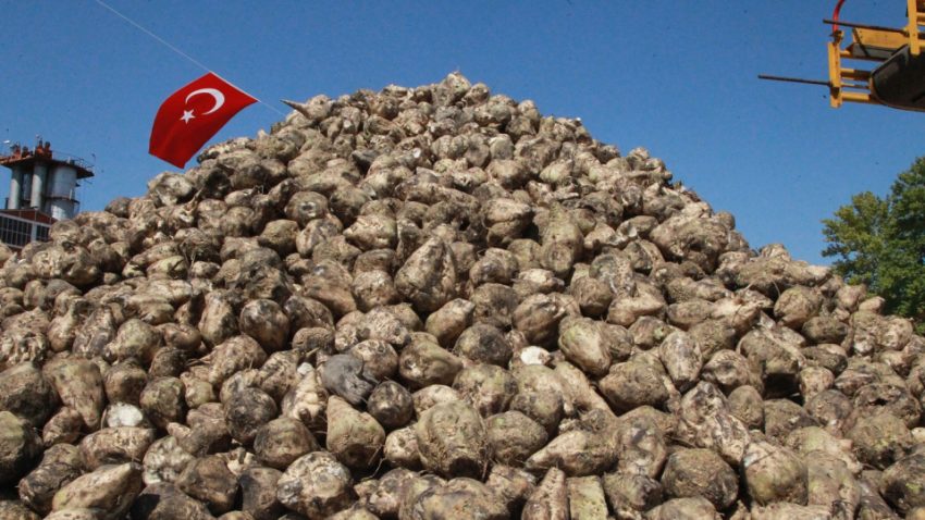 Şeker pancarı üretimine ait kanun teklifi kurulda kabul edildi